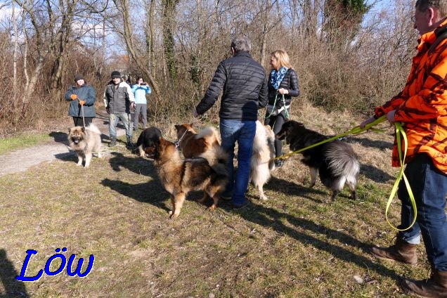 12.2.2022 - Dwix, Howard, Barki, Aria, Dante und Lola